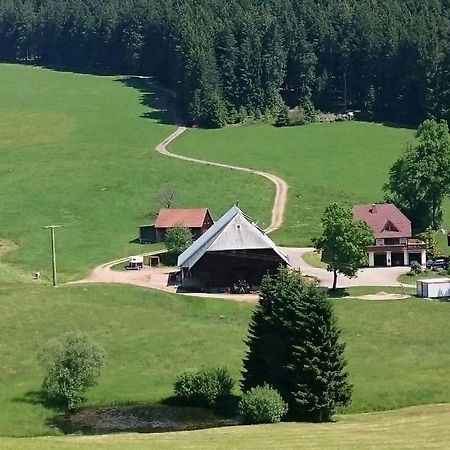 Appartement Oberengenbachhof à Eisenbach  Extérieur photo